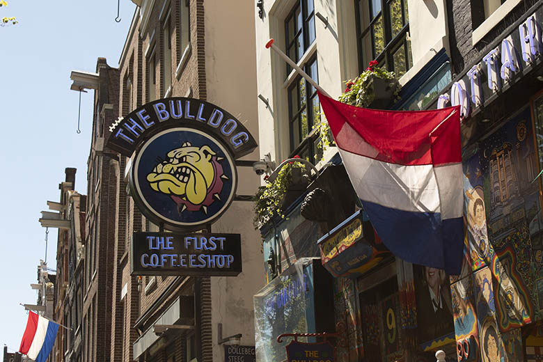 Bulldog Coffee Shop Facade in Amsterdam