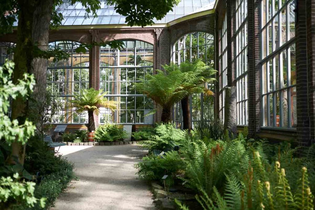 Amsterdam Botanical Garden