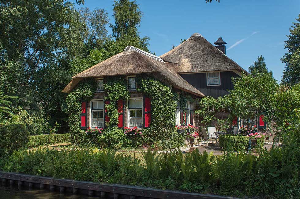 Plant-covered cottage with red windows in Giethoorn.