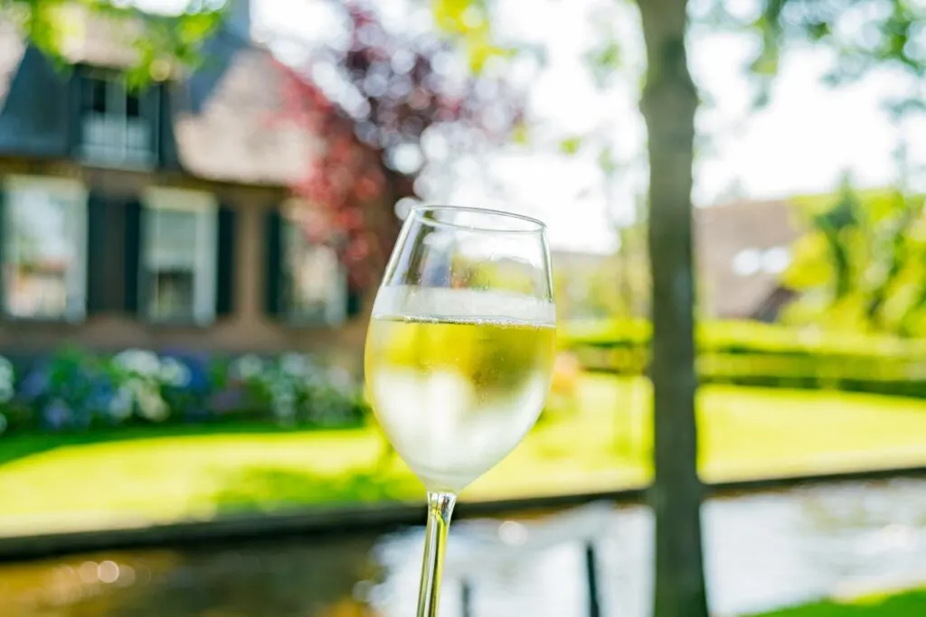 Glass of wine in Giethoorn
