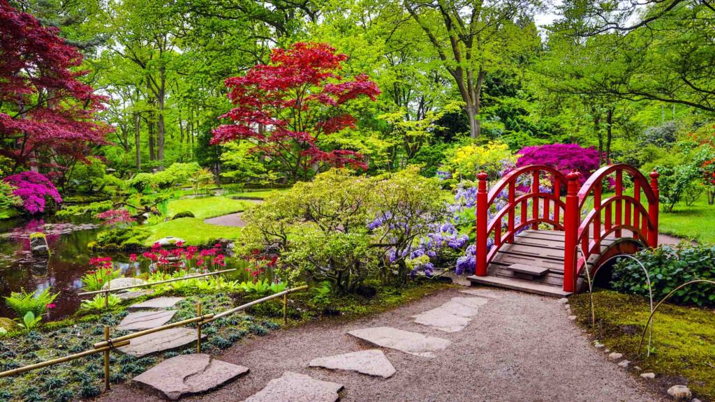 Strolling through the Japanese Garden is one of the best things to do in the Hague