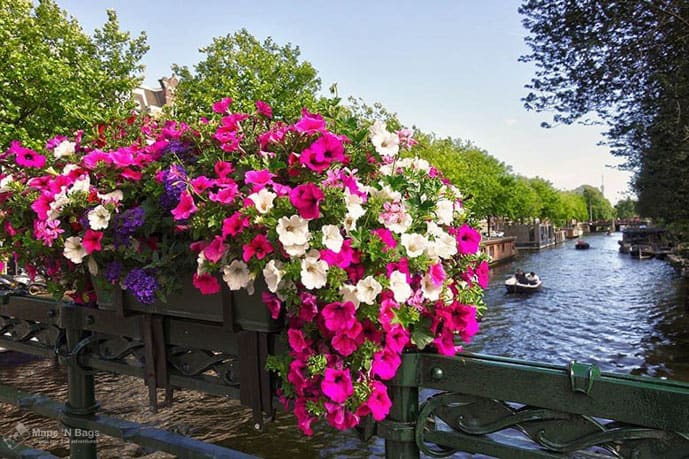 Flowers in bridge in Amsterdam