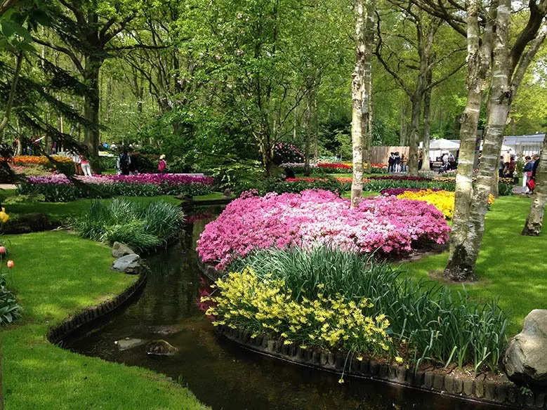 Keukenhof attracts many tourists every year, but since the park is only open for 8 weeks a year, you need to be there when the flowers are at their best. Here I provide you with helpful information, so you can get the most out of your visit to this stunning park. #keukenhof #flowers #keukenhofgardens #travel #netherlands #tulip