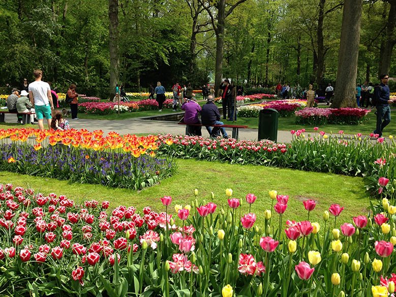 People walking around a park of flowers, the Keukenhof.