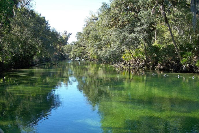 Blue Spring State Park in Florida is one of the best summer vacation spots in the US