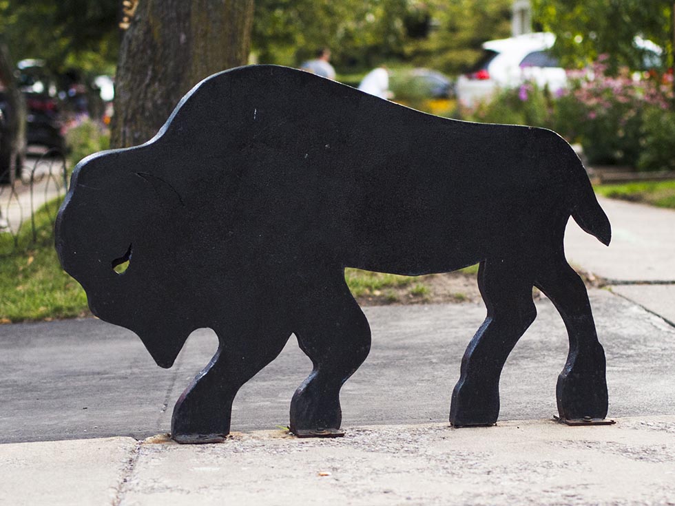 Black plastic buffalo in the city of Buffalo, New York