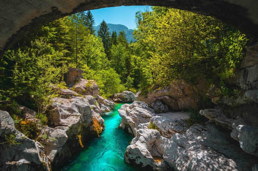 Soca river in the forest, Bovec, Slovenia