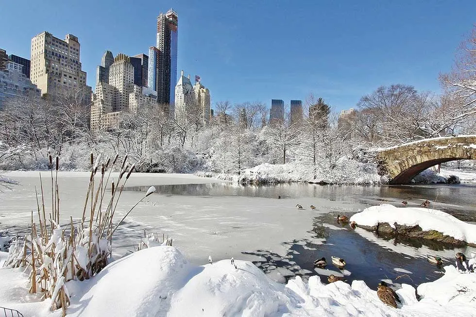 Download 100 Quotes About New York Epic New York Instagram Captions Maps N Bags