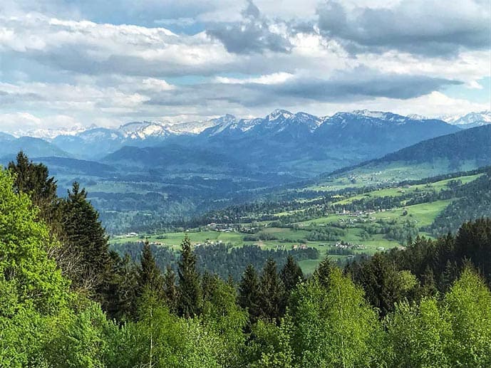 Bregenz in Austria. Green forest.