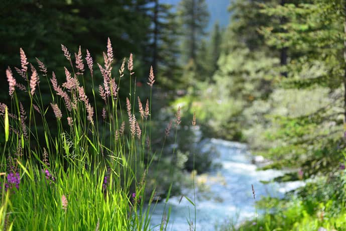 Banff has beautiful nature