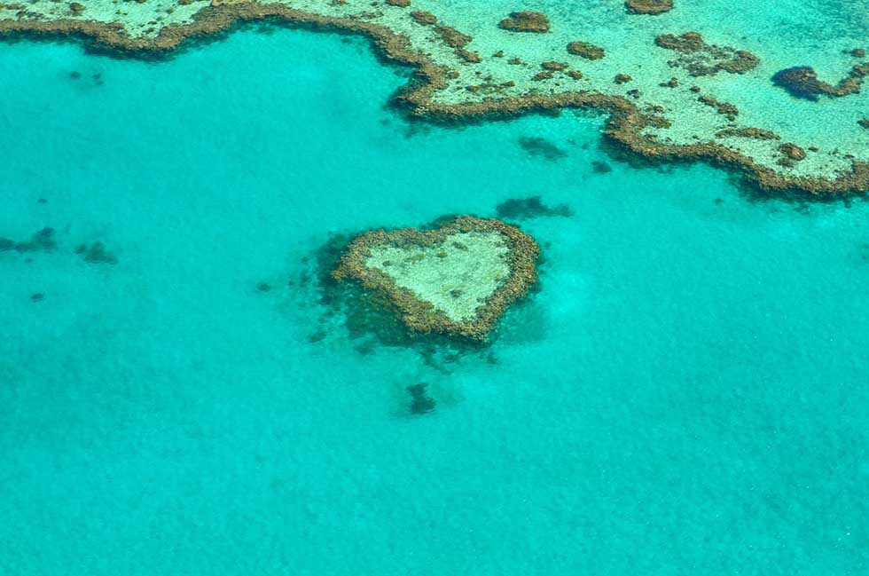 From diving in the blue ocean to climbing a steel bridge in the middle of Sydney. This mind-blowing Australia bucket list is ready to be used and copied. #Thingstodo #Sydney #Travel #summer #Australia #Dreams #NationalParks #Fun #Adventure #GratBarrierReef #Trips #Perth #Tasmania #heart #BucketList