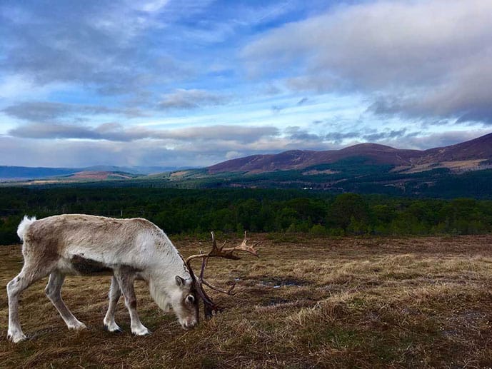 Winter in Scotland