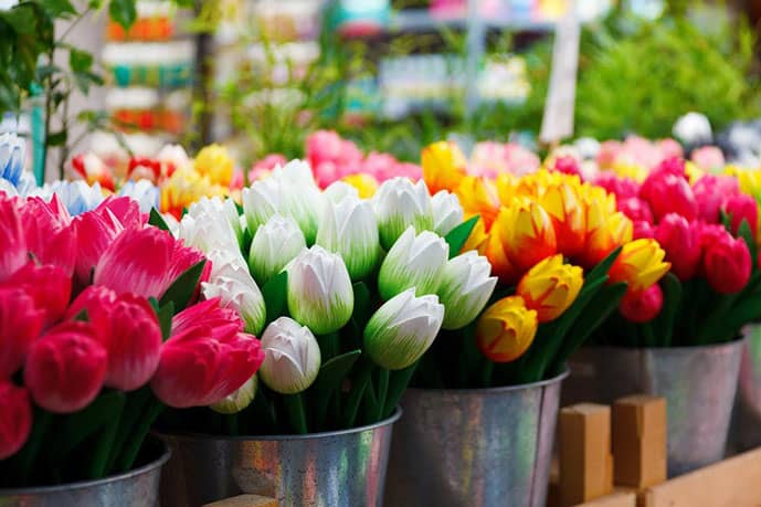 Flower market Amsterdam pictures