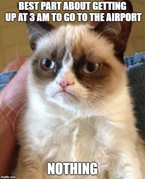 airport memes