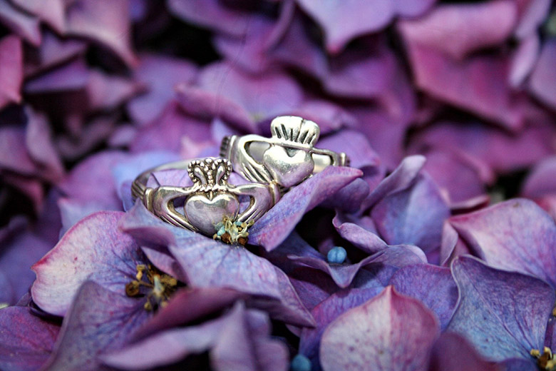Irish Claddagh Rings on purple leaves