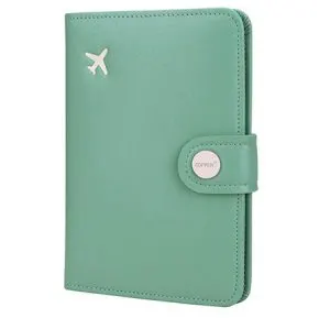 Passport holder for your Ireland Packing List