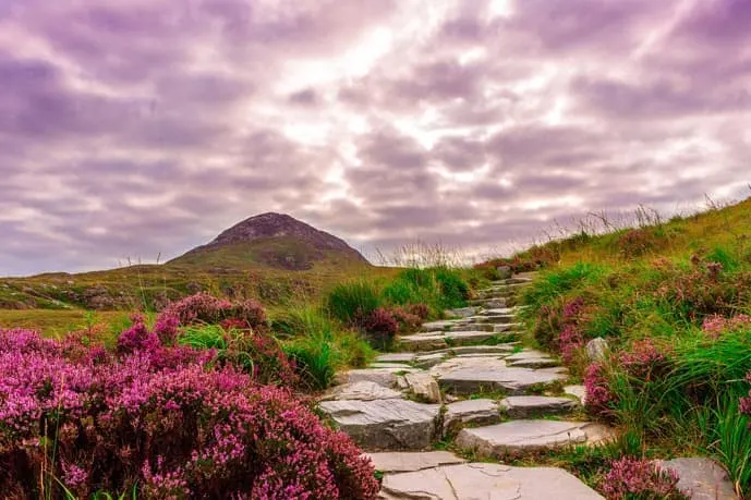 Green landscape in Ireland