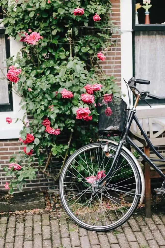 Spot romantic places in Amsterdam