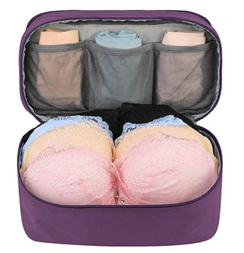 Travel Bra organizer