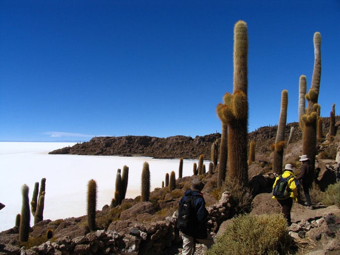 Fish Island in Bolivia covered with cacti