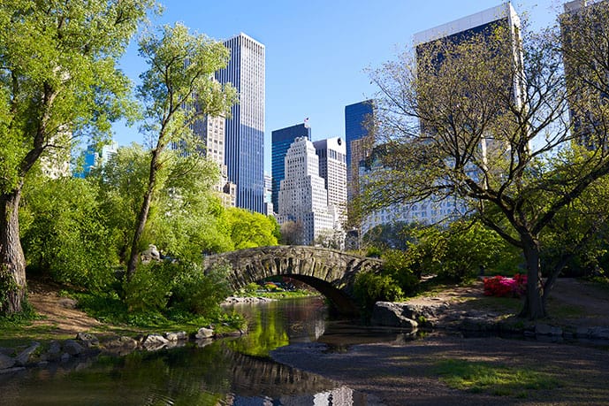 Central Park v New Yorku