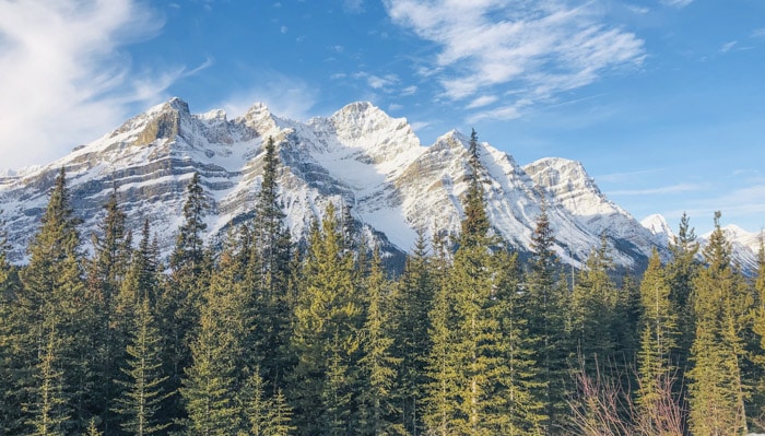 Many Pine trees and mountains to see in your Banff itinerary