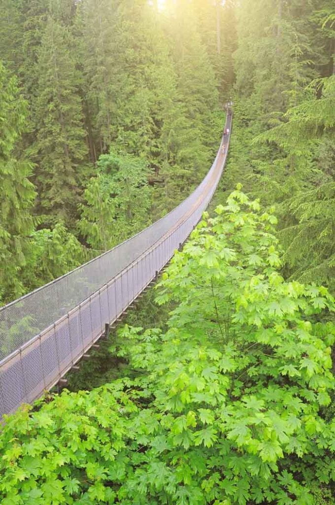 Capilano Suspension Bridge in Vancouver