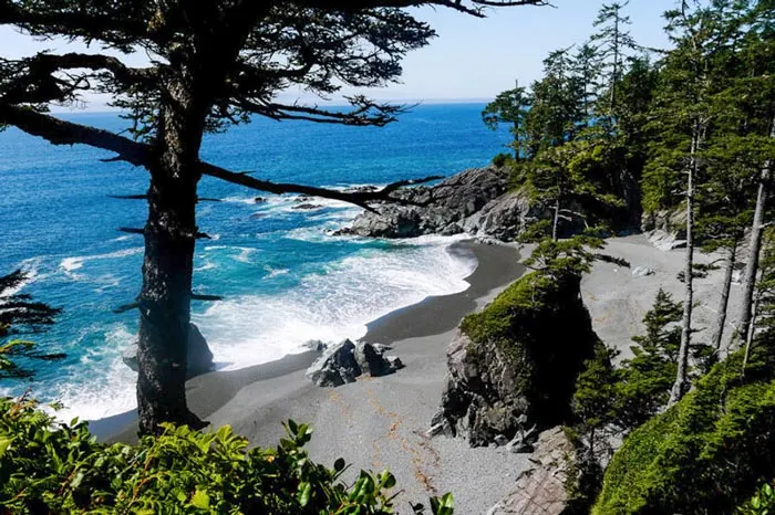 Pacific Rim National Park in Vancouver Island
