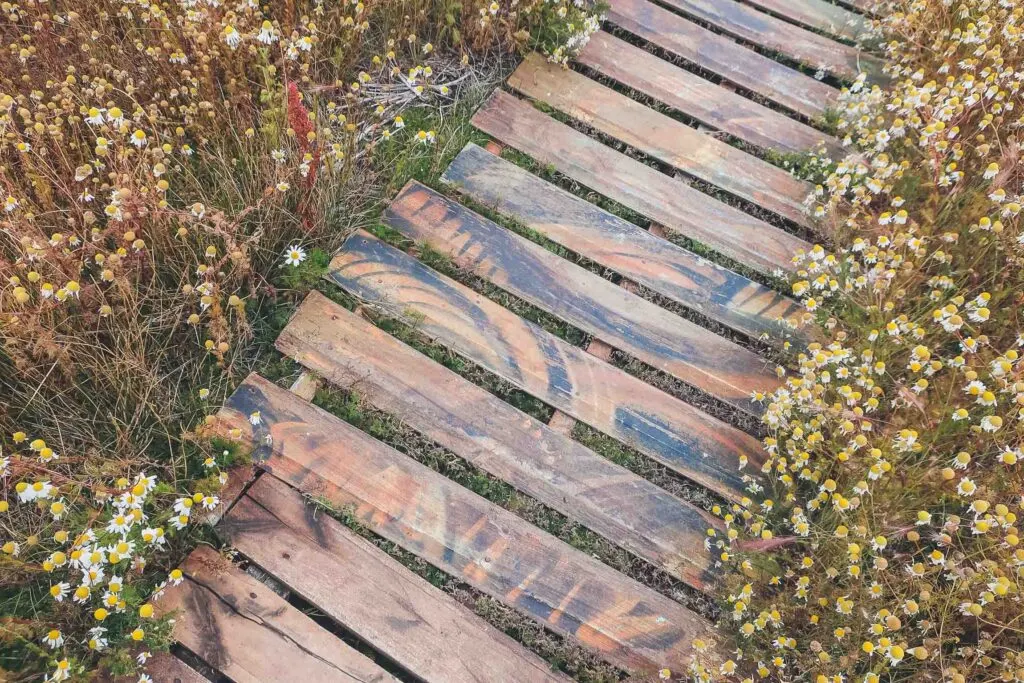 Path in Bird sanctuary in El Calafate, Argentina