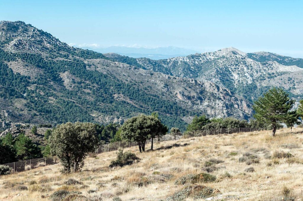 Mountains in Sierra Nevada, Spain