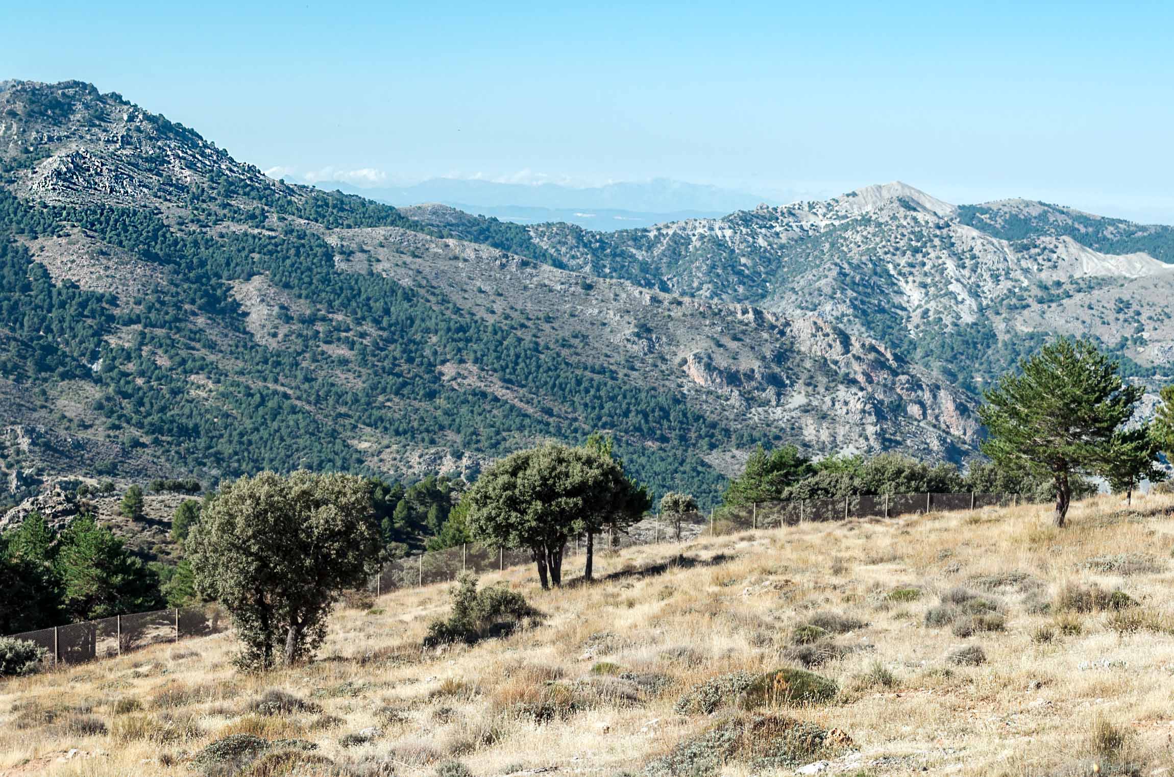 9 Adventurous Things to Do in Sierra Nevada National Park, Spain » Maps