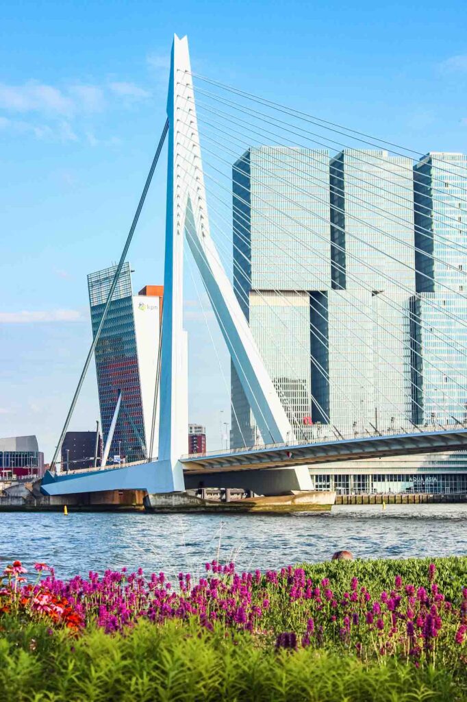 Rotterdam is one of the best Dutch cities to visit