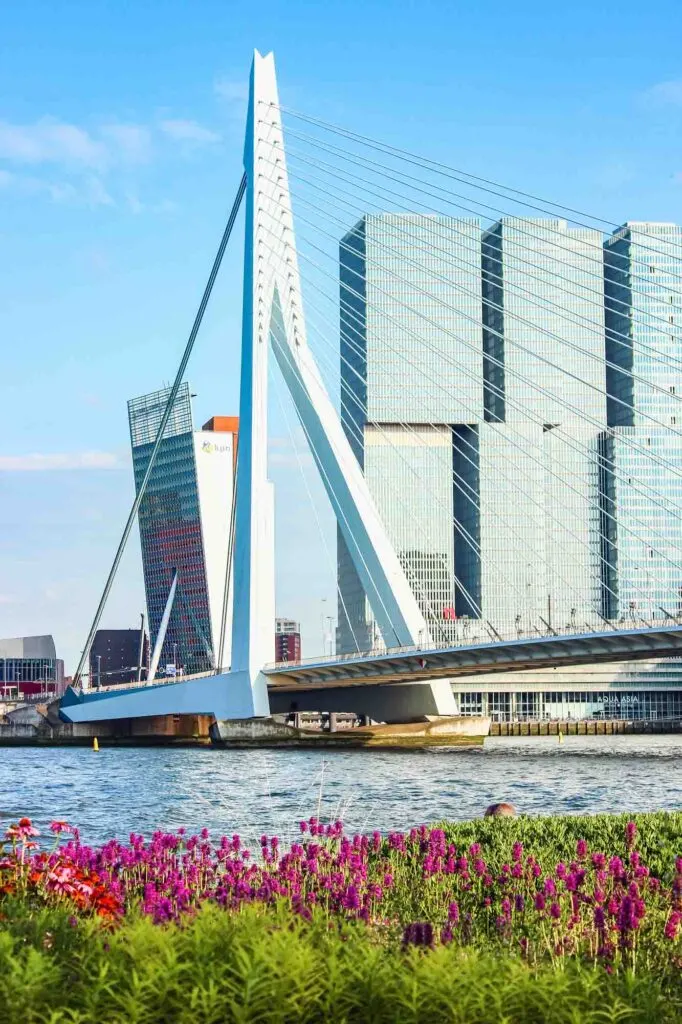 Rotterdam is one of the best Dutch cities to visit