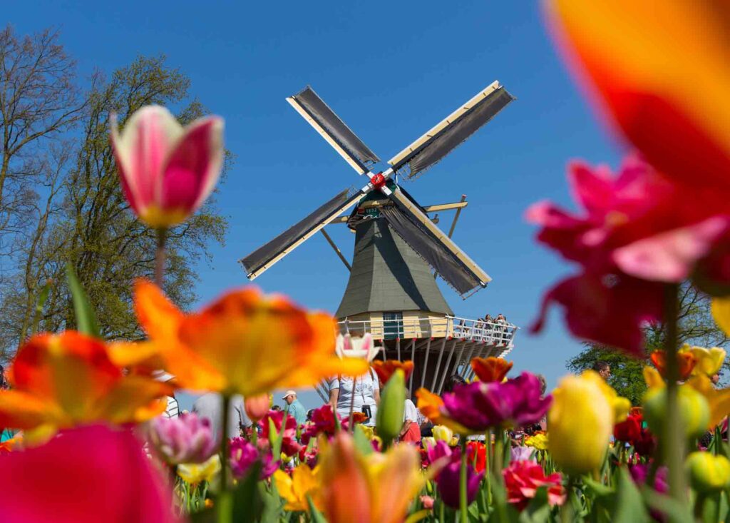 Lisse is one of the best Dutch towns