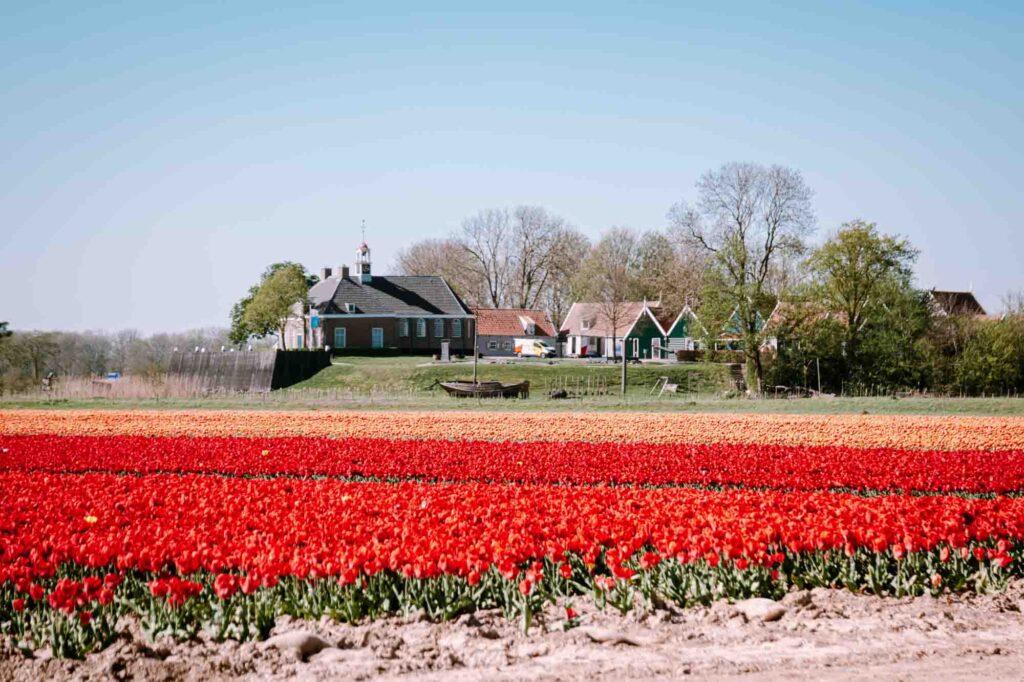 Schokland is one of the cute villages in Holland