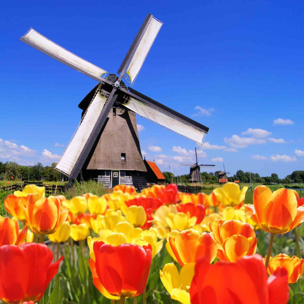 Windmills are some of the things the Netherlands is known for