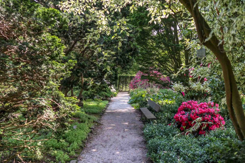 Strolling through Arboretum Trompenburg is one of the fun things to do in Rotterdam