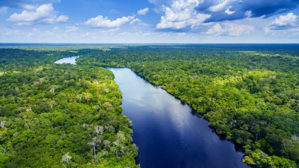 Pristine Amazon Rainforest in Brazil