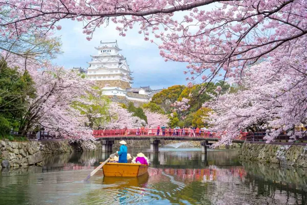 Enchanting cherry blossoms and the Himeji Castle in Kyoto, Japan