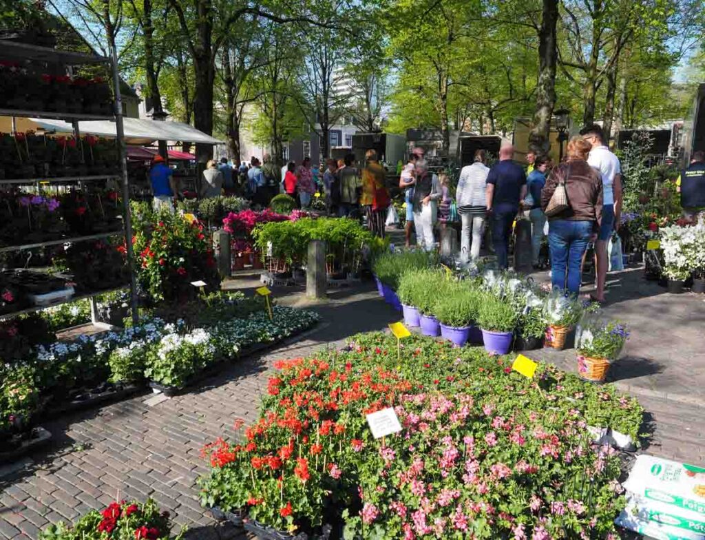 Flower market at Janskerkhof in Utrecht around the Janskerk.