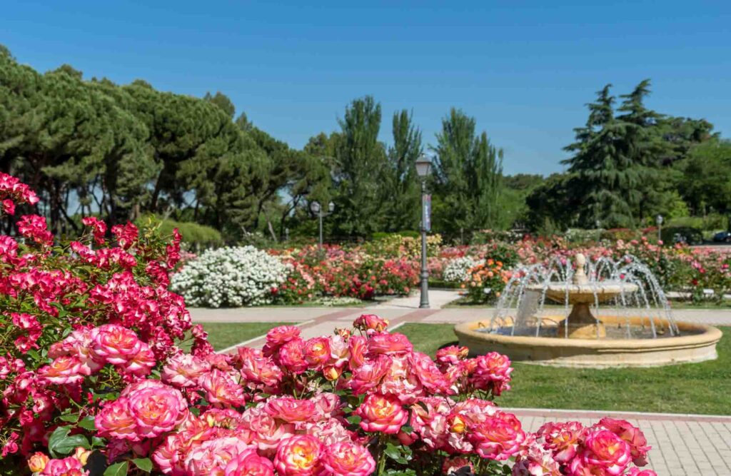 Botanical Gardens Madrid, Spain