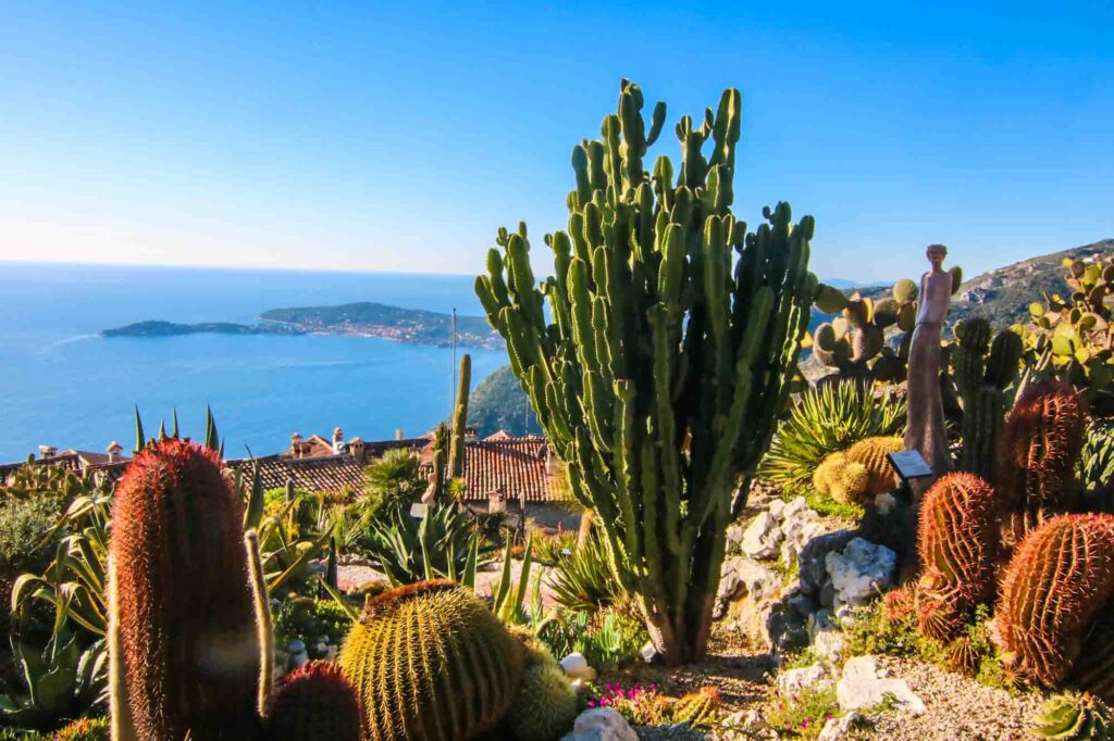 Cactus inside Exotic Garden at medieval Eze village, France