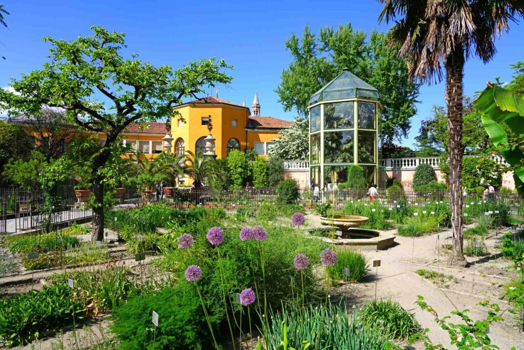 Orto Botanico di Padova at the University of Padua, the world's oldest academic botanical garden, Italy