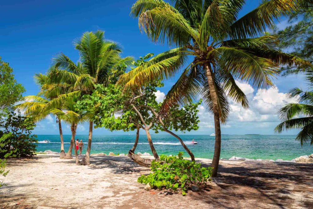 Palm trees on the beach in Key West, Florida